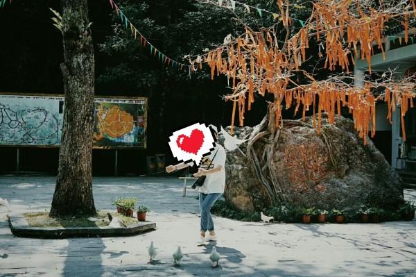如果你父亲是皇帝,但当太子的却不是你,他只封你做个王爷,你会怎么办?-知识星球平台