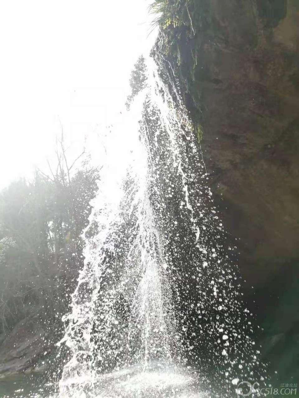 探索香椿炒蛋怎么炒才好吃红迪网平台,发现有趣无限!