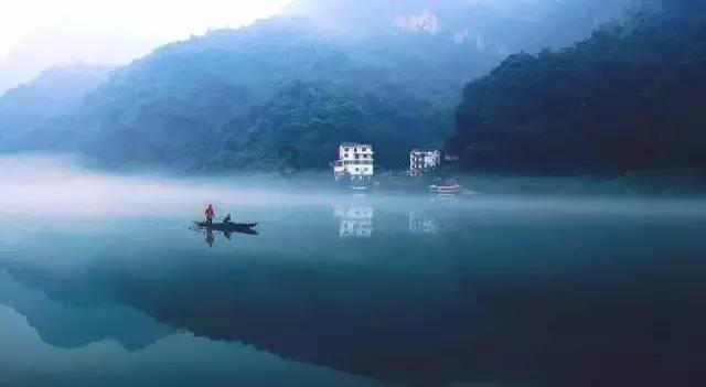 动物帮帮忙保卫家园
